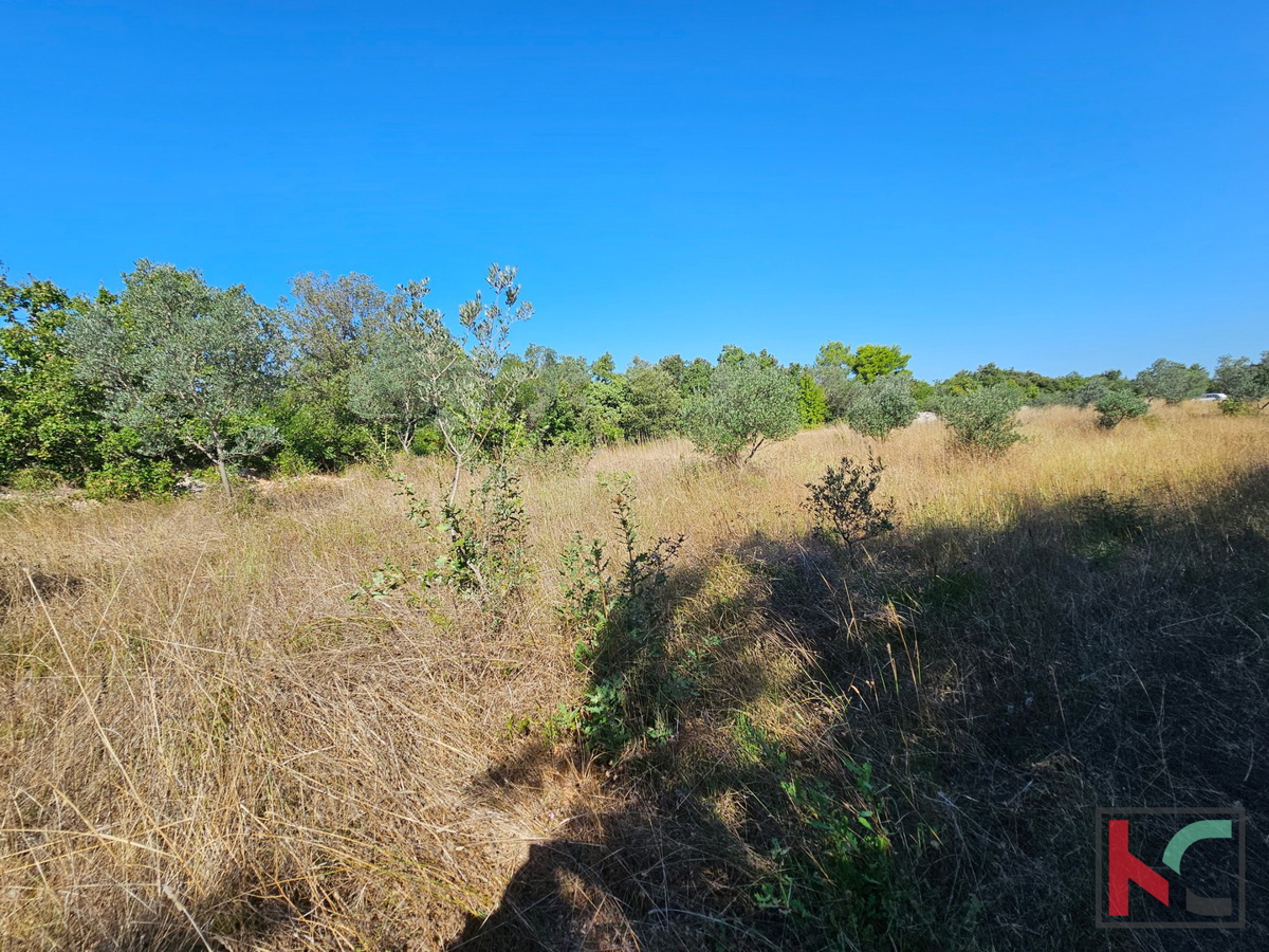 Istria, Fasana, terreno agricolo 2400m2