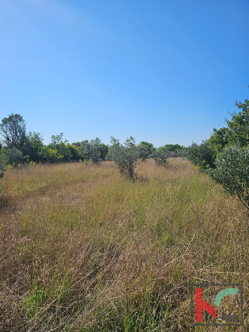 Istria, Fasana, terreno agricolo 2400m2