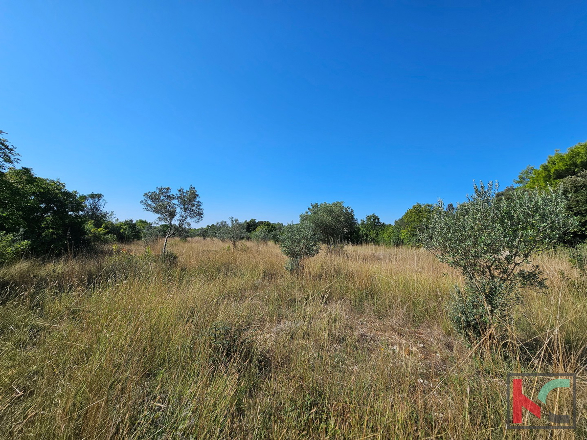 Istria, Fasana, terreno agricolo 2400m2