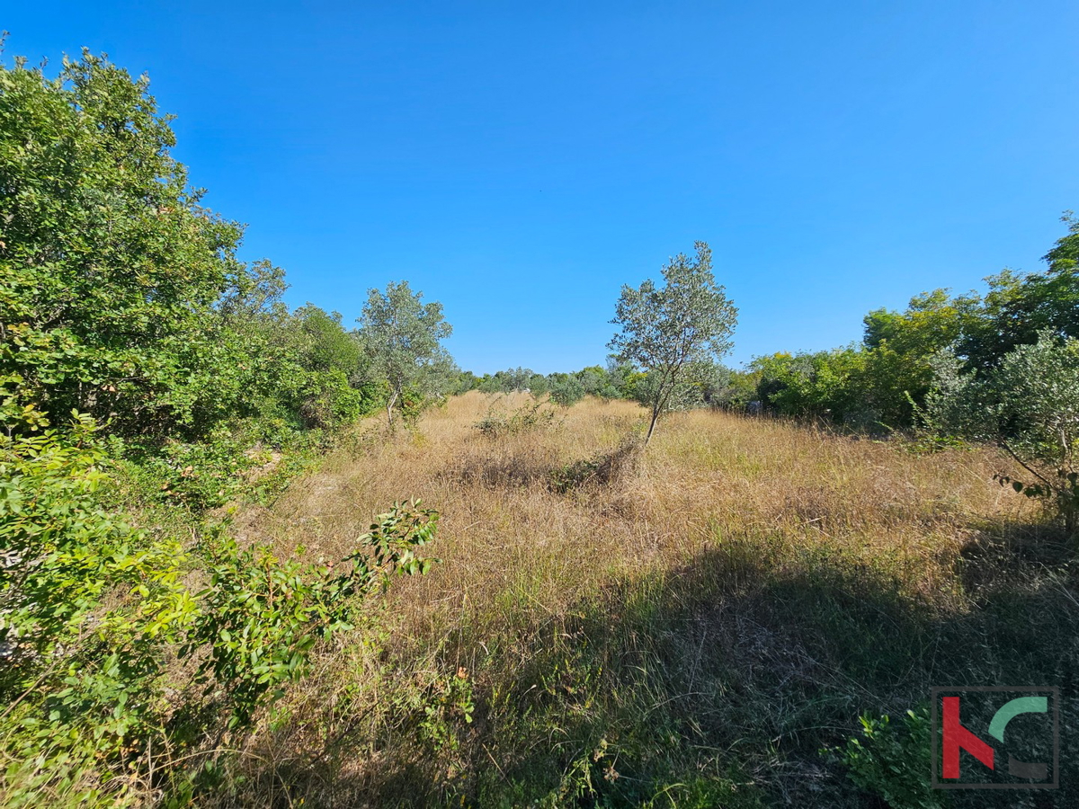 Istria, Fasana, terreno agricolo 2400m2