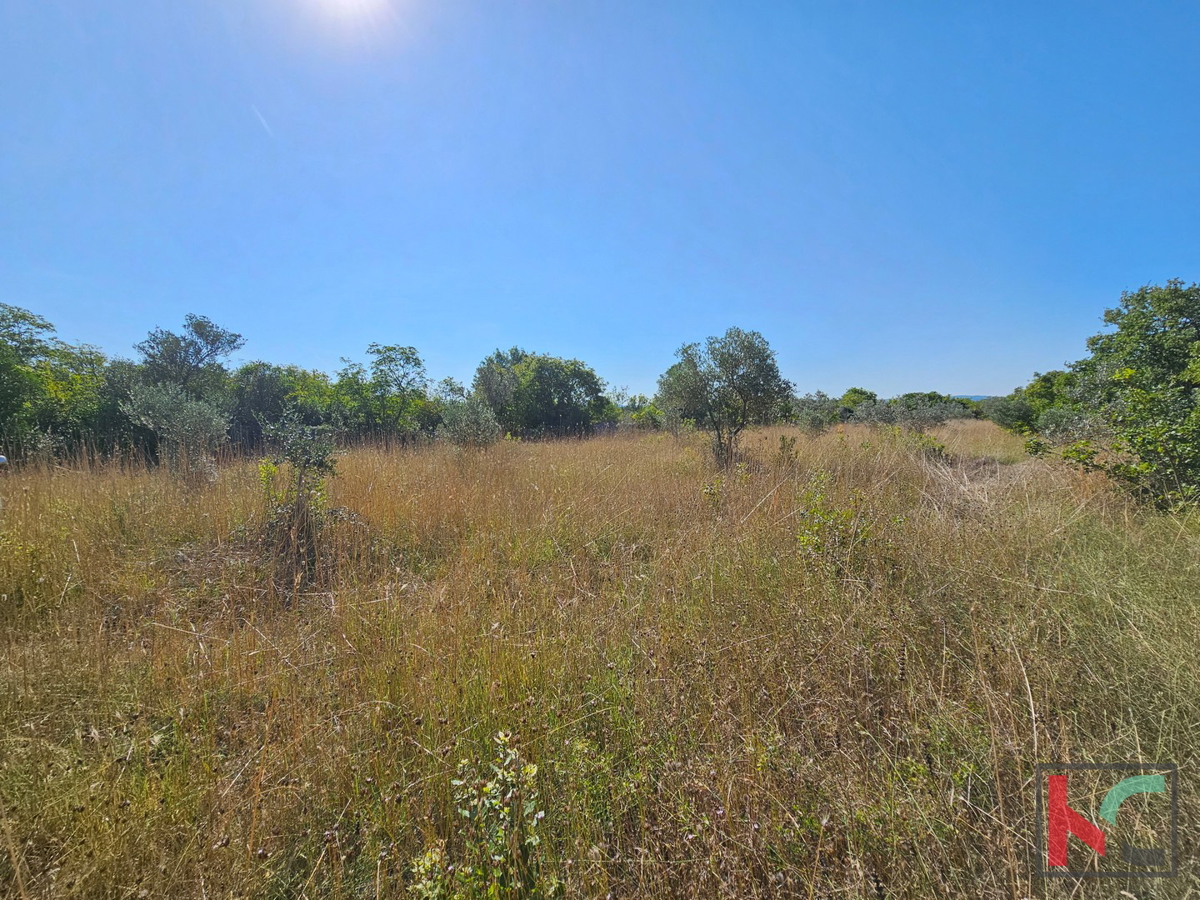 Istria, Fasana, terreno agricolo 2400m2