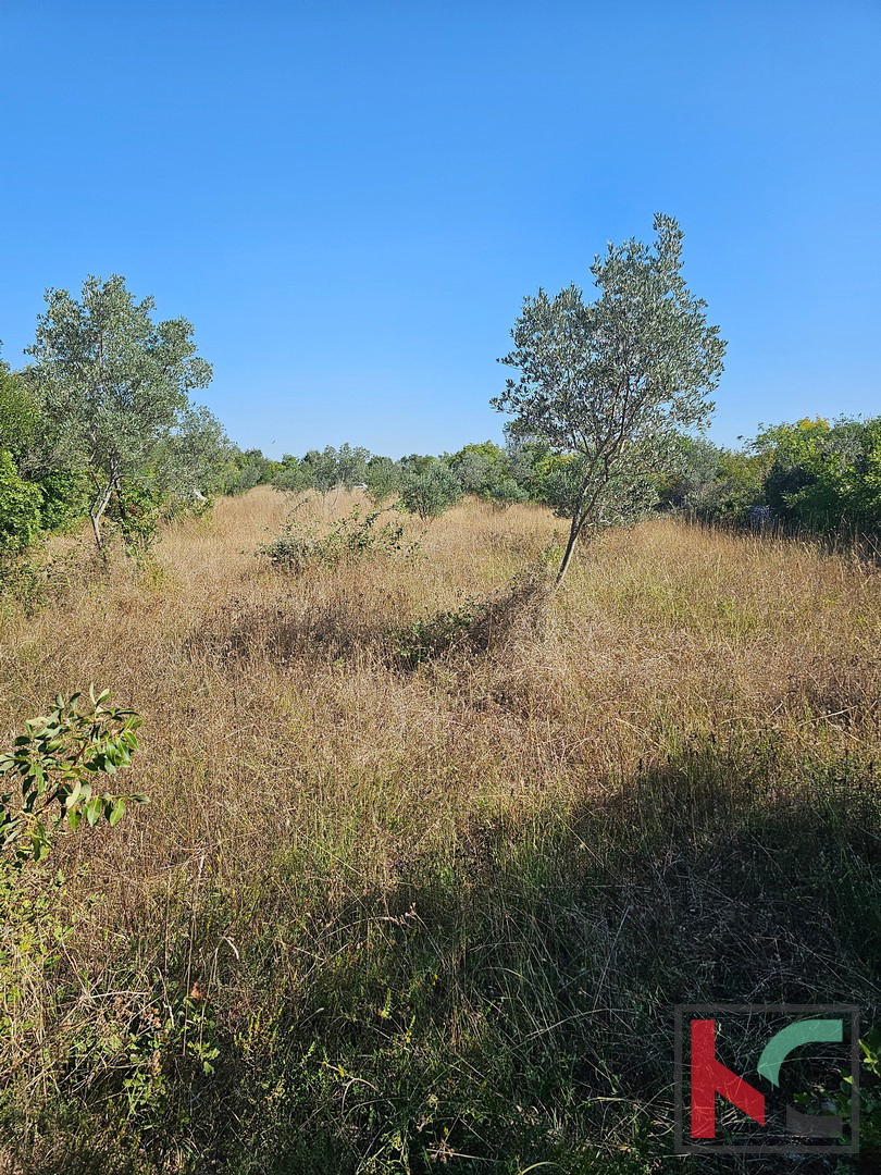 Istria, Fasana, terreno agricolo 2400m2