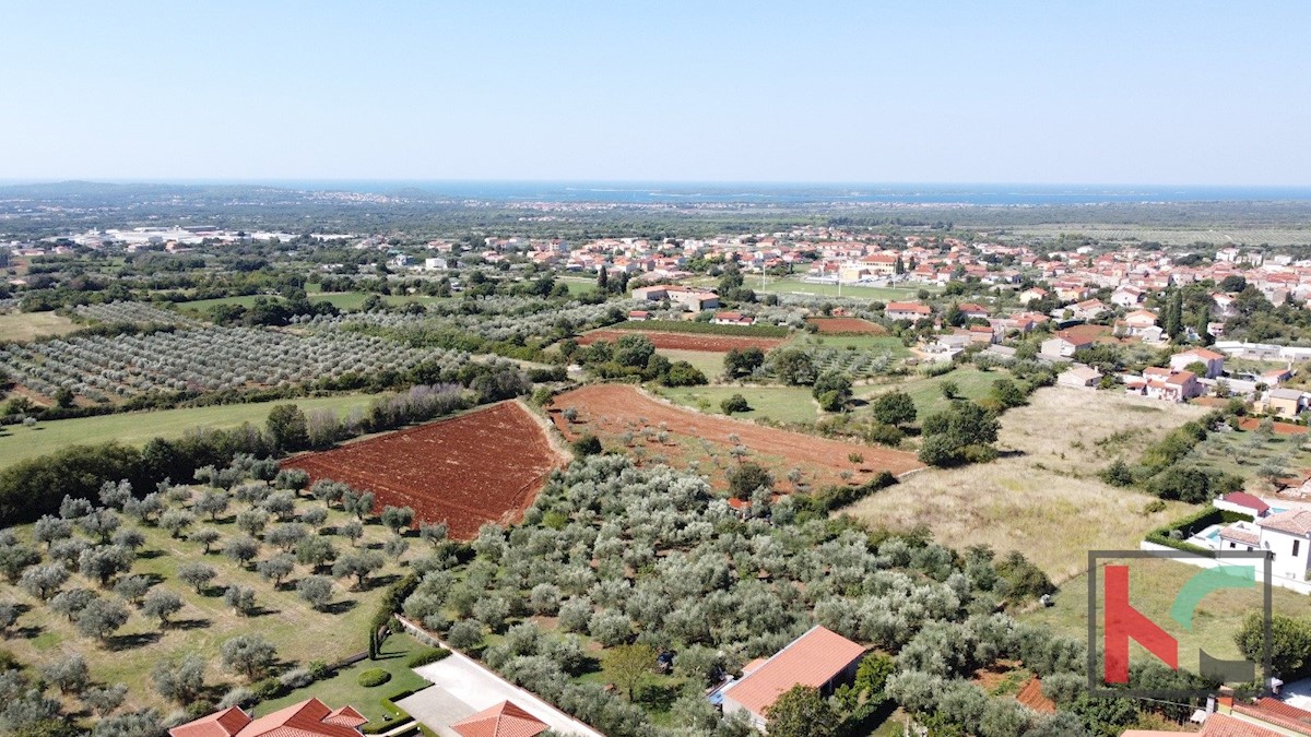 Istria, Gallesano, terreno edificabile 1000 m2 con vista mare, #vendita