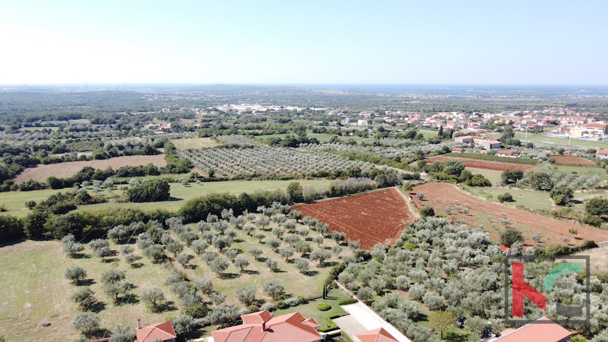 Istria, Gallesano, terreno edificabile 1000 m2 con vista mare, #vendita