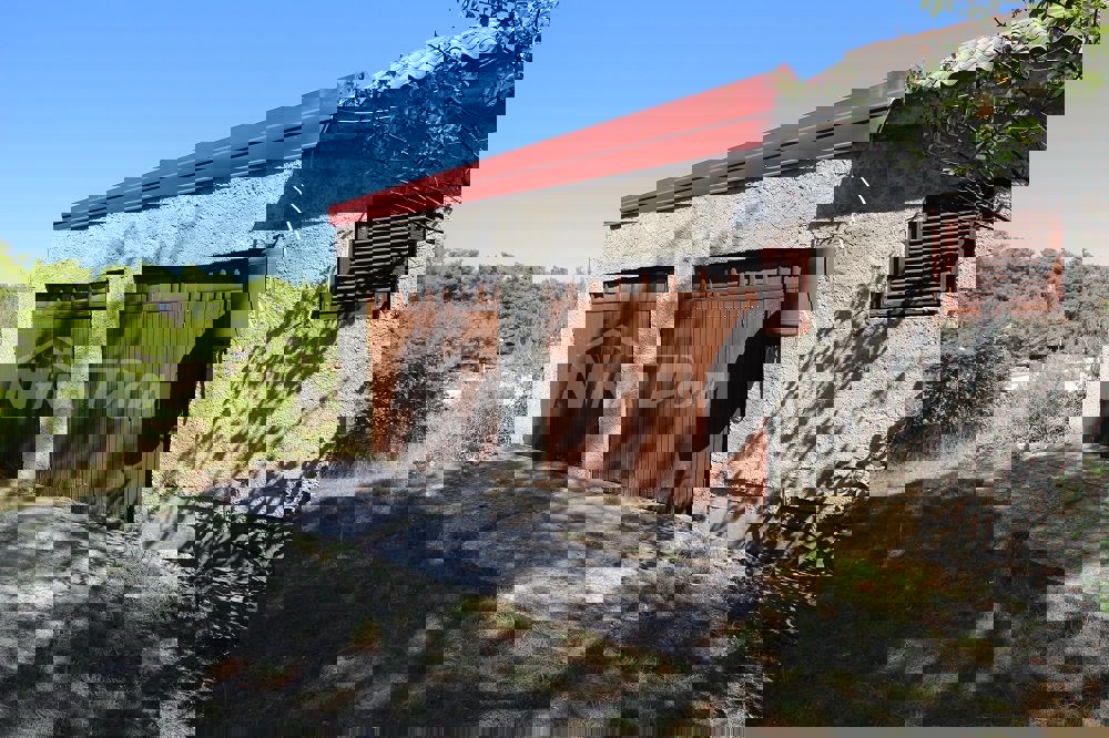 Casa a un piano vicino al mare con ampio giardino.