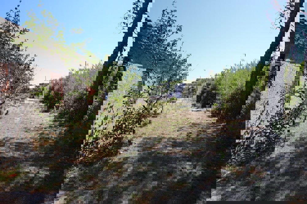 Casa a un piano vicino al mare con ampio giardino.