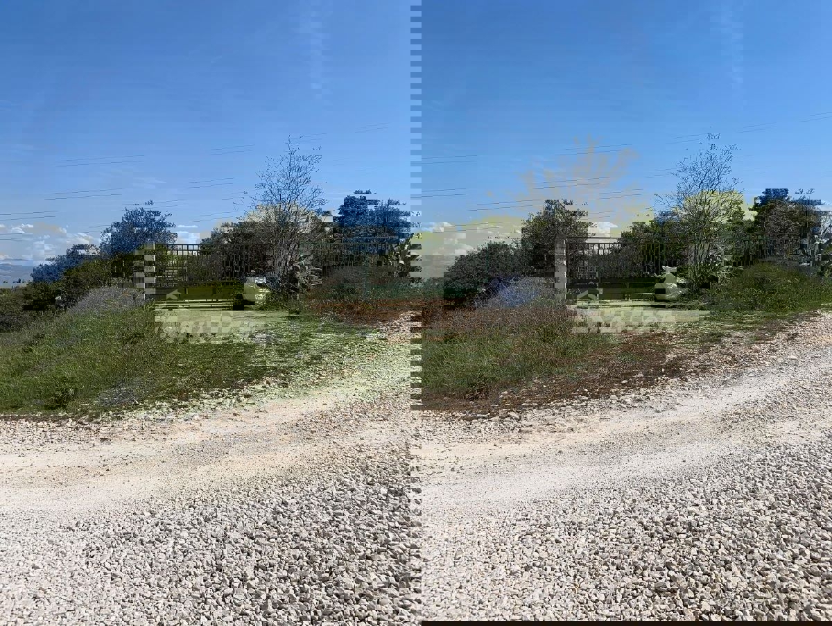 Terreno nella zona MR a Bokanjac, Zara – con uliveto  Češki (Čeština):