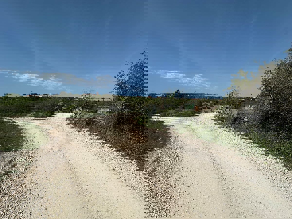 Terreno nella zona MR a Bokanjac, Zara – con uliveto  Češki (Čeština):