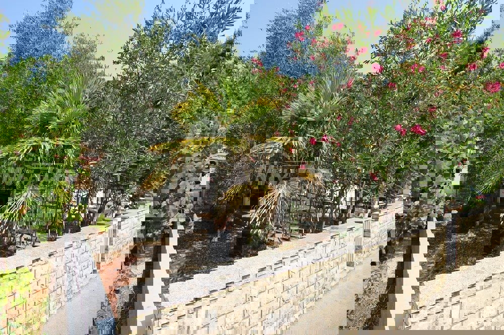 Proprietà di famiglia con un bellissimo giardino