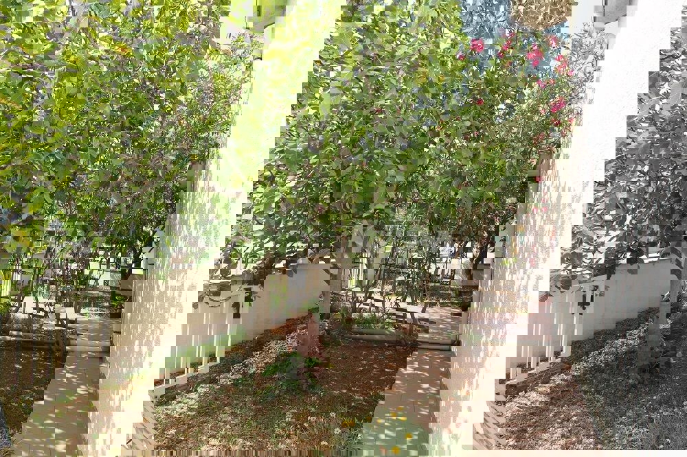 Proprietà di famiglia con un bellissimo giardino