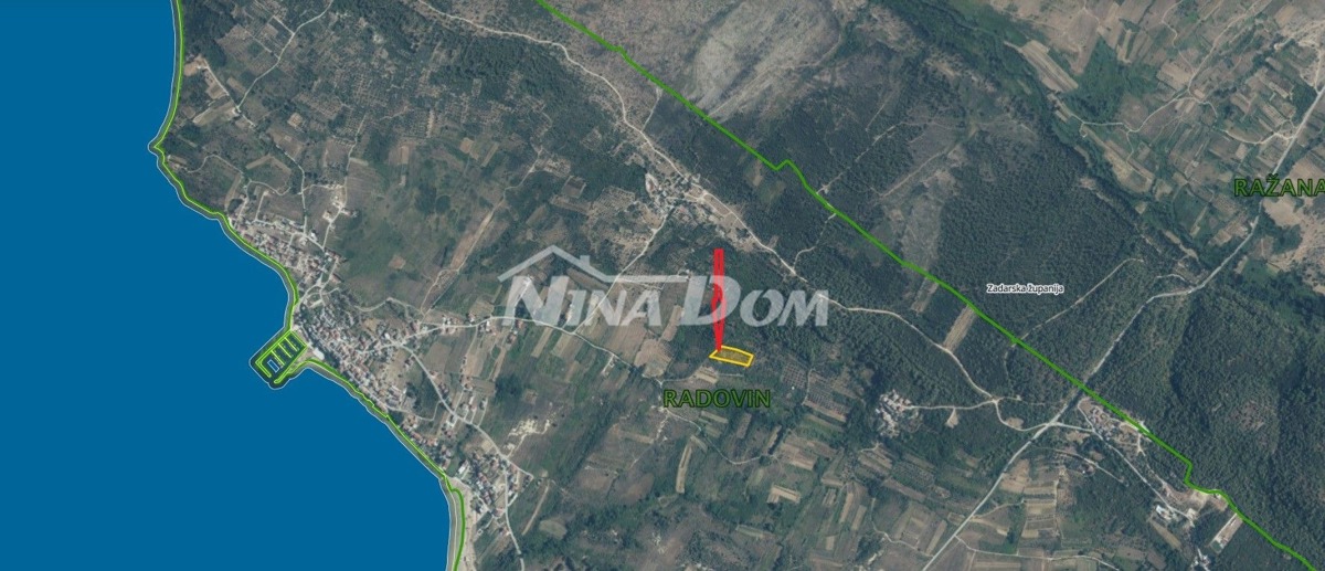 Terreno agricolo con 30 ulivi secolari in vendita