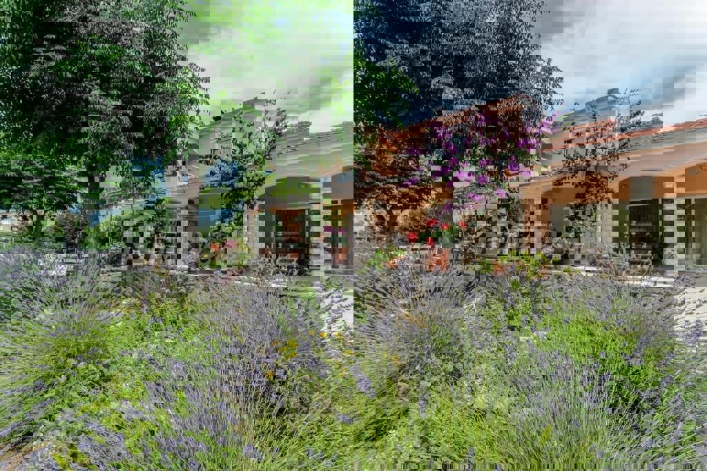 Edificio residenziale e commerciale con ampio giardino e piscina