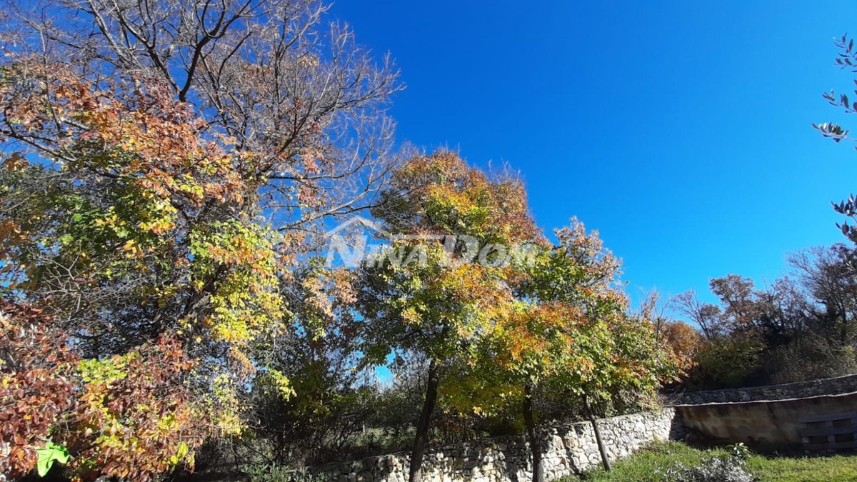 Vendita Terreno Edificabile con Dependance e Ulivi