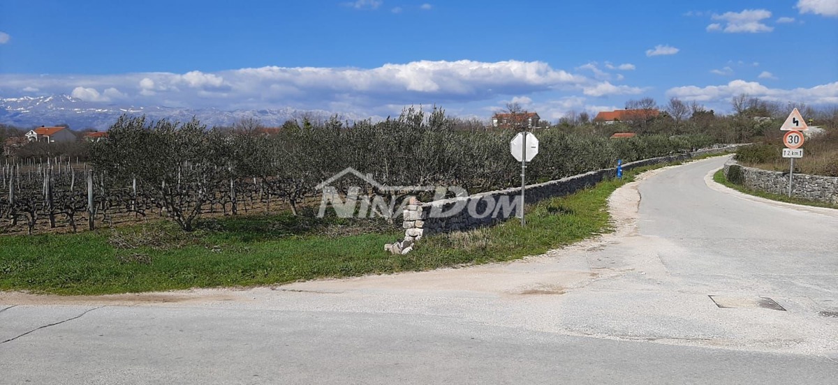 Vendita Terreno Edificabile con Dependance e Ulivi