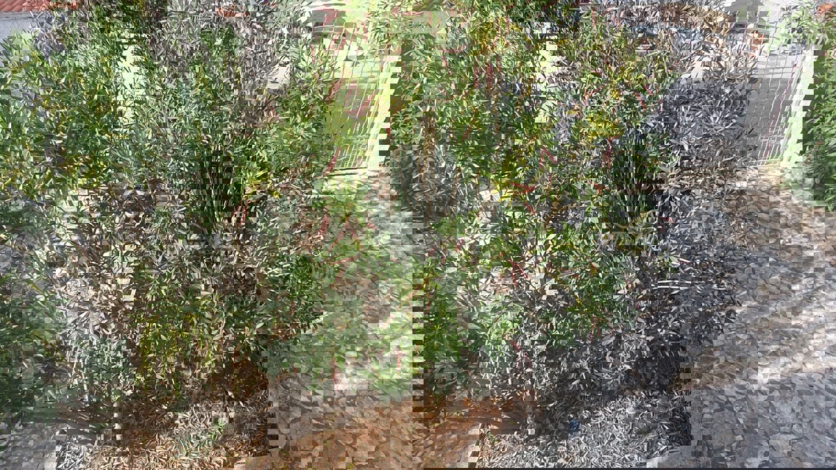 Proprietà familiare con un bel cortile e garage