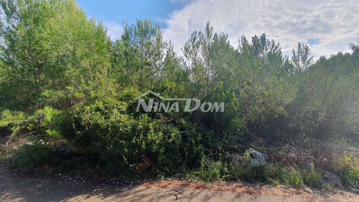 Terreno edificabile sul lato sud di Vir, necessario il piano UPU.