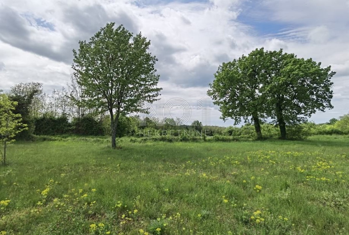 Terreno Sveti Ivan, Višnjan, 12.000m2