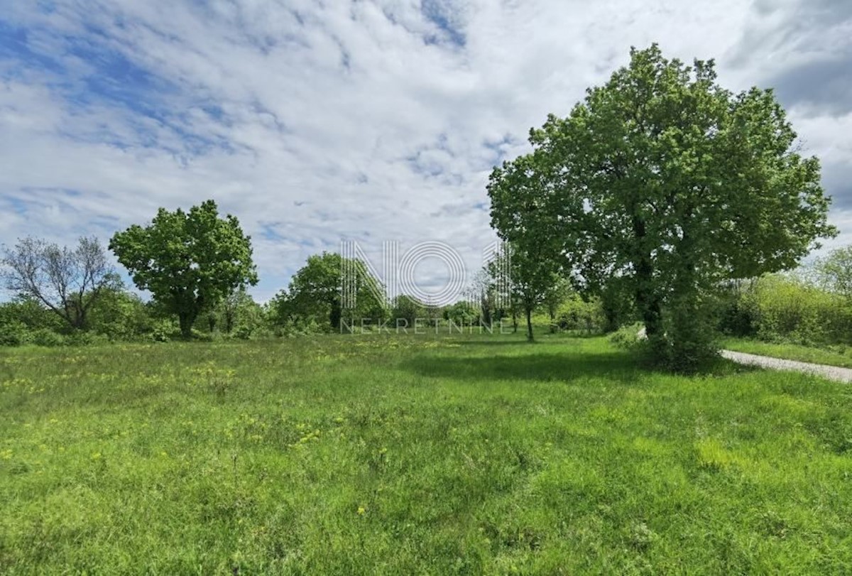 Terreno Sveti Ivan, Višnjan, 12.000m2