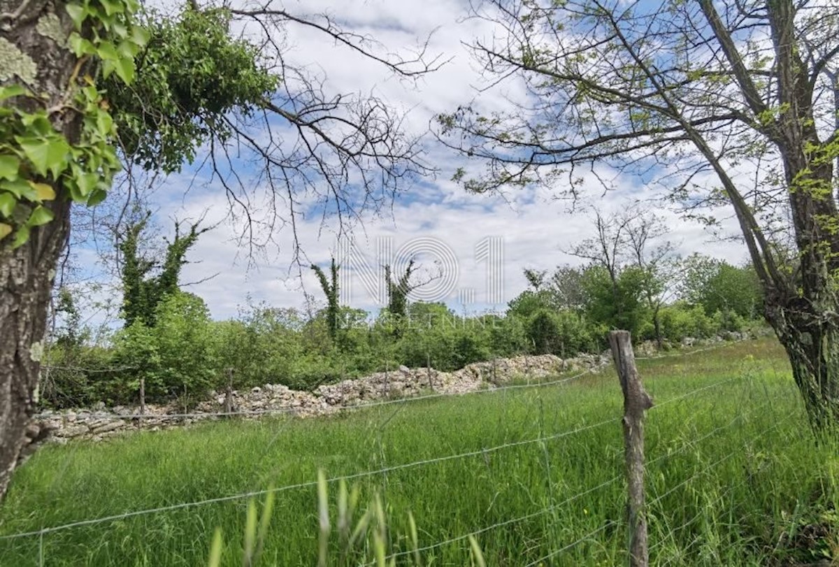 Terreno Sveti Ivan, Višnjan, 12.000m2