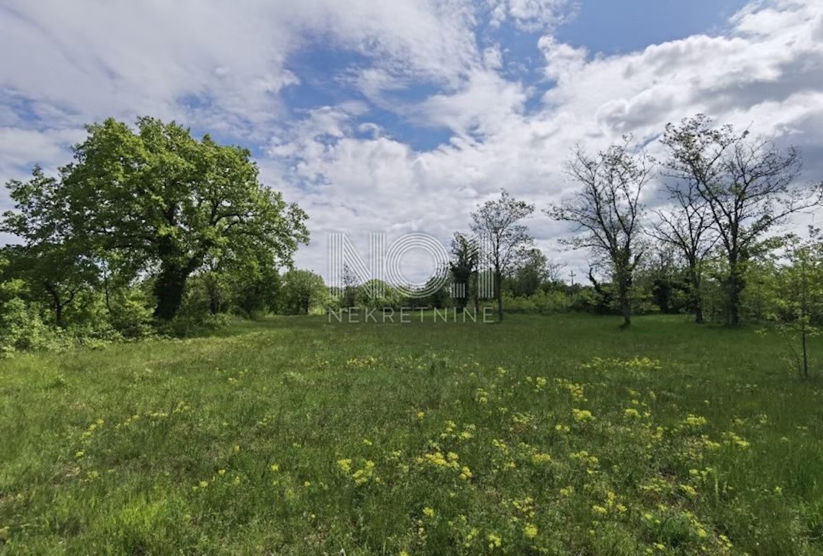 Terreno Sveti Ivan, Višnjan, 12.000m2