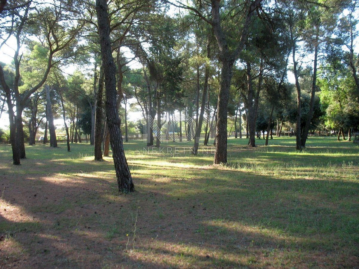 Rovigno - vendita terreno edificabile in riva al mare