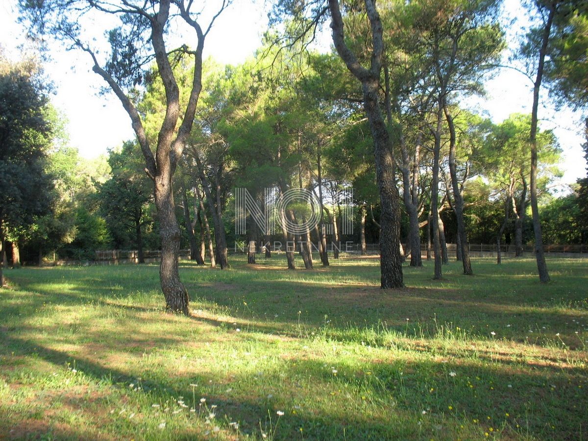 Rovigno - vendita terreno edificabile in riva al mare