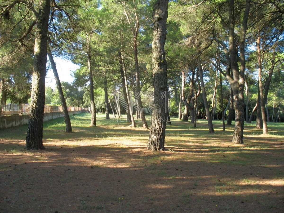 Rovigno - vendita terreno edificabile in riva al mare