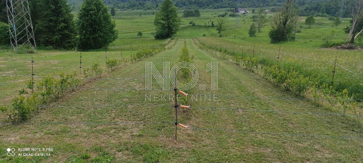 Delnice - vendita di una casa bifamiliare con ampio giardino