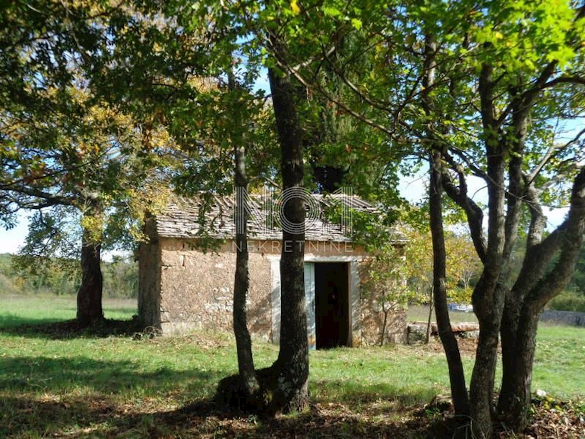 Terreno Žminj, 20.057m2