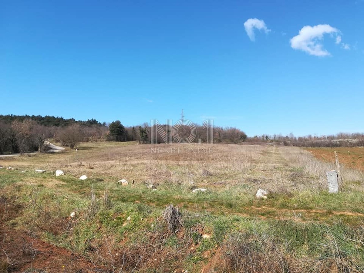 Terreno Mugeba, Poreč, 11.000m2