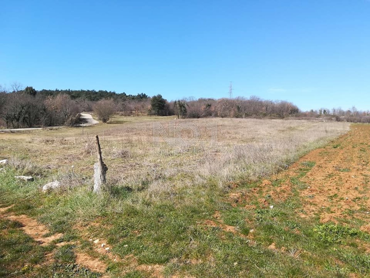 Terreno Mugeba, Poreč, 11.000m2