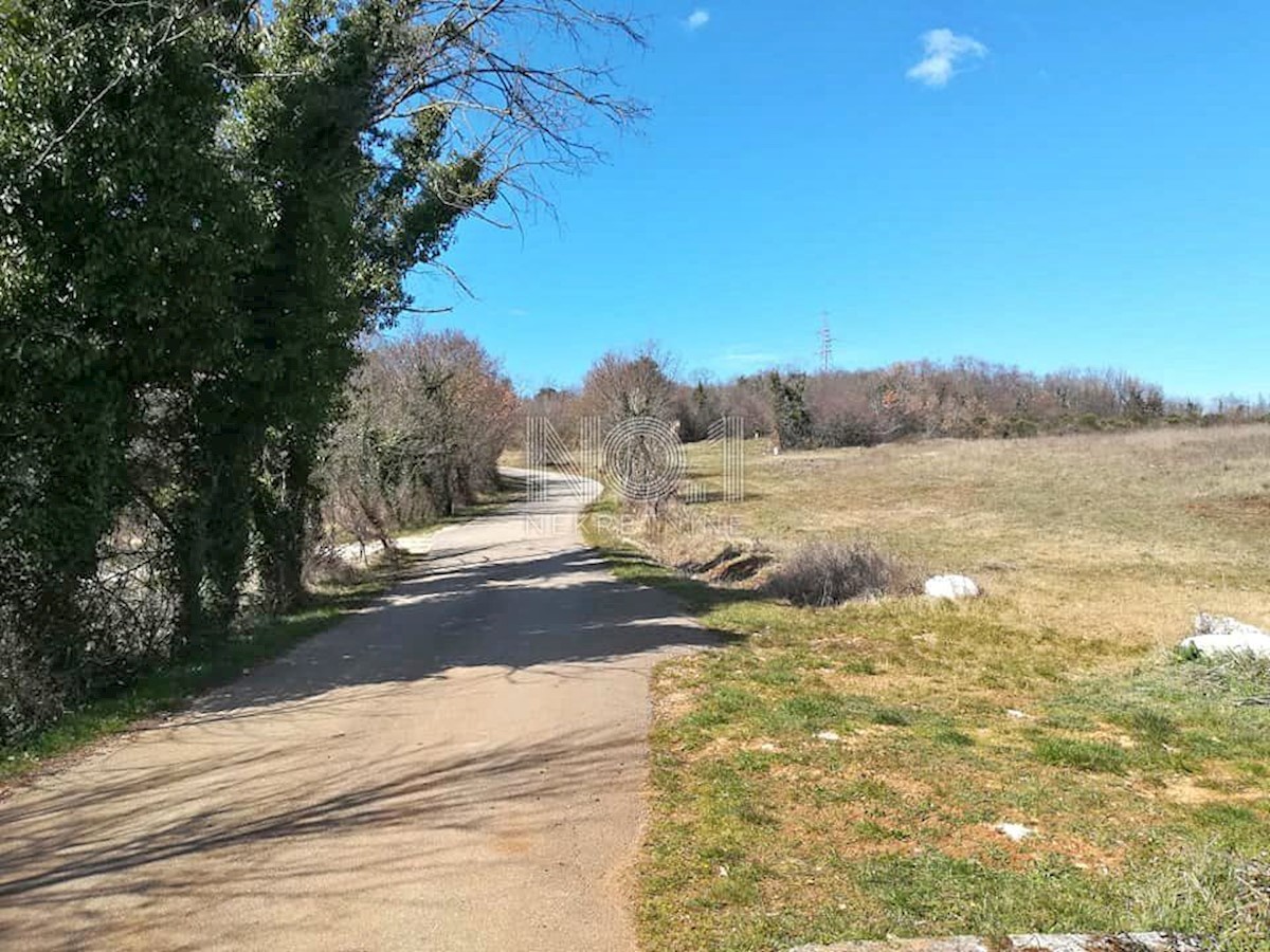 Terreno Mugeba, Poreč, 11.000m2