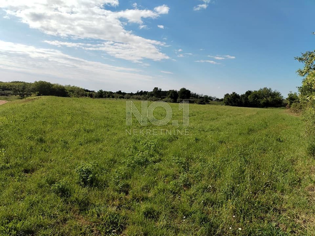 Terreno Kaštelir, Kaštelir-Labinci, 6.175m2