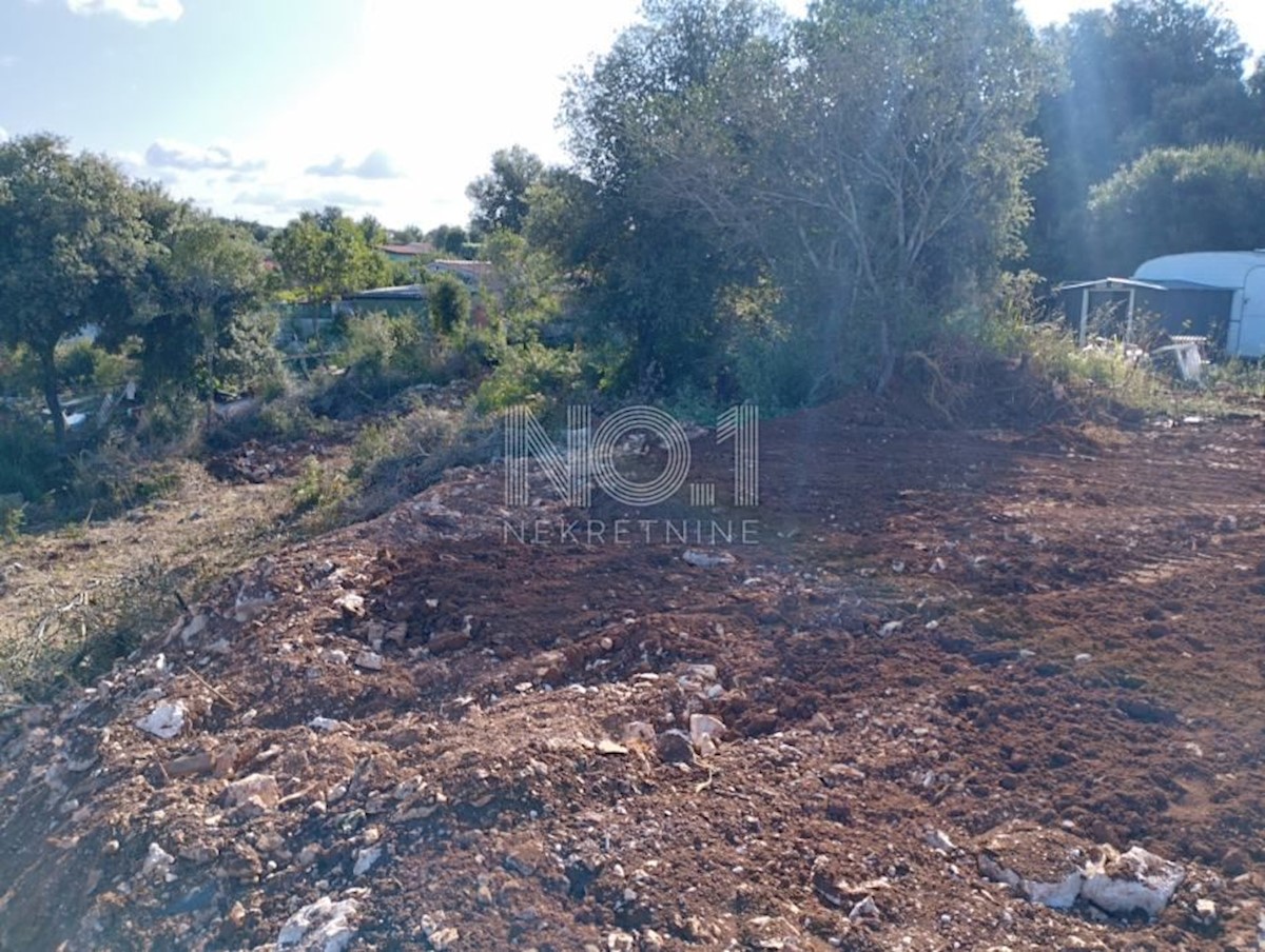 Rovigno - terreno agricolo con progetto