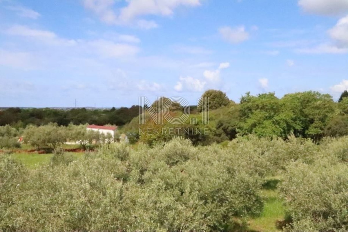 Gallesano - villa in vendita con piscina in una posizione tranquilla