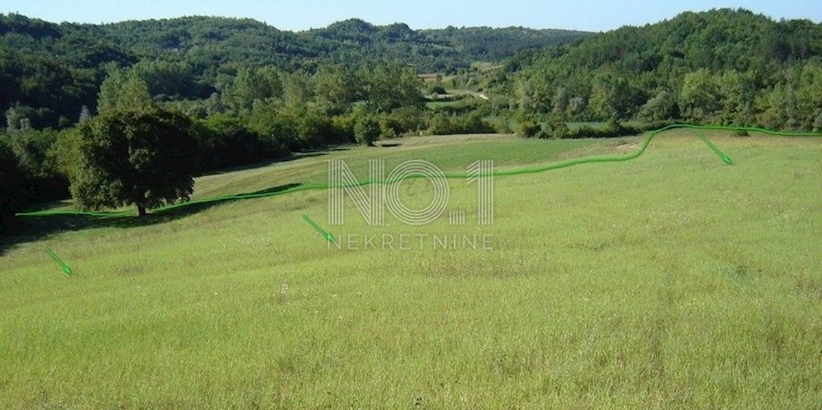 Terreno Novaki Motovunski, Karojba, 16.637m2