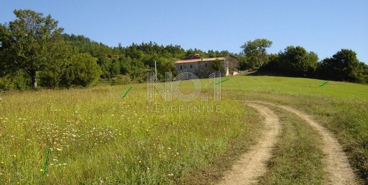 Terreno Novaki Motovunski, Karojba, 16.637m2