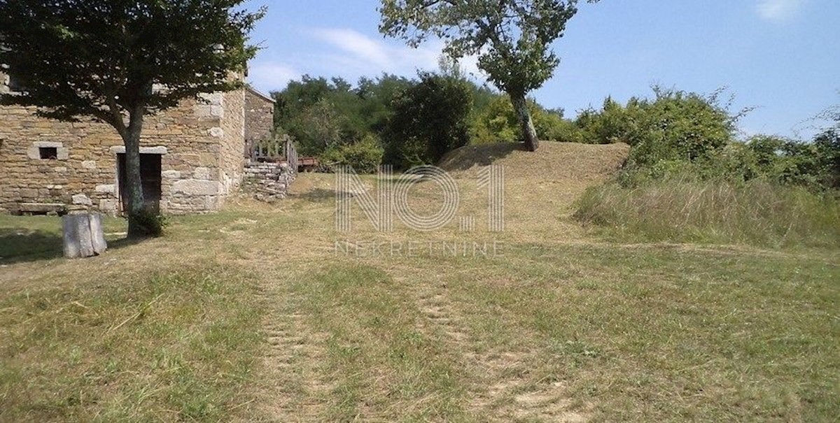 Terreno Novaki Motovunski, Karojba, 16.637m2