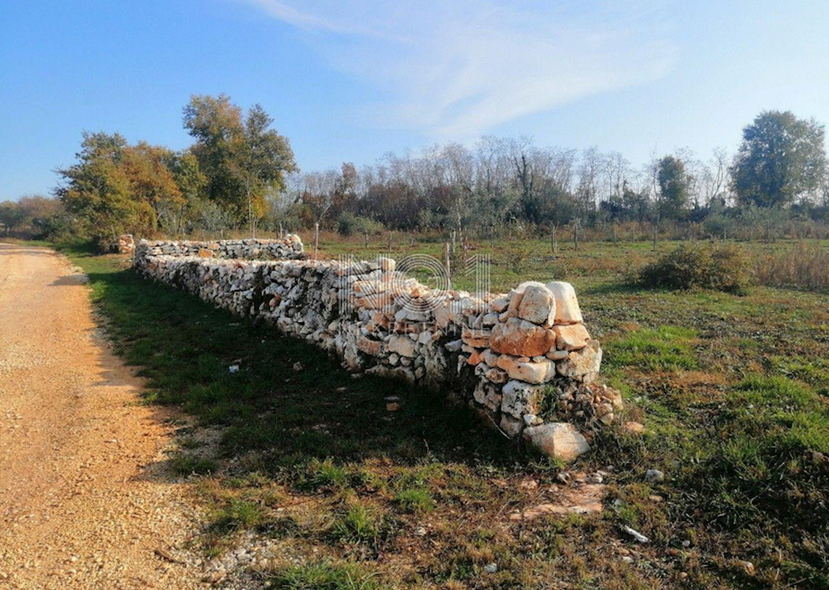 Terreno Labinci, Kaštelir-Labinci, 4.218m2