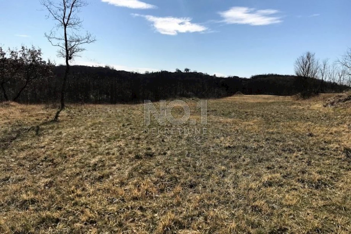 Terreno Trviž, Pazin - Okolica, 19.950m2