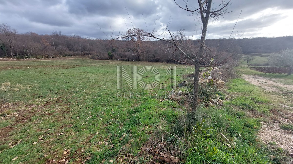 Terreno Plovanija, Buje, 763m2