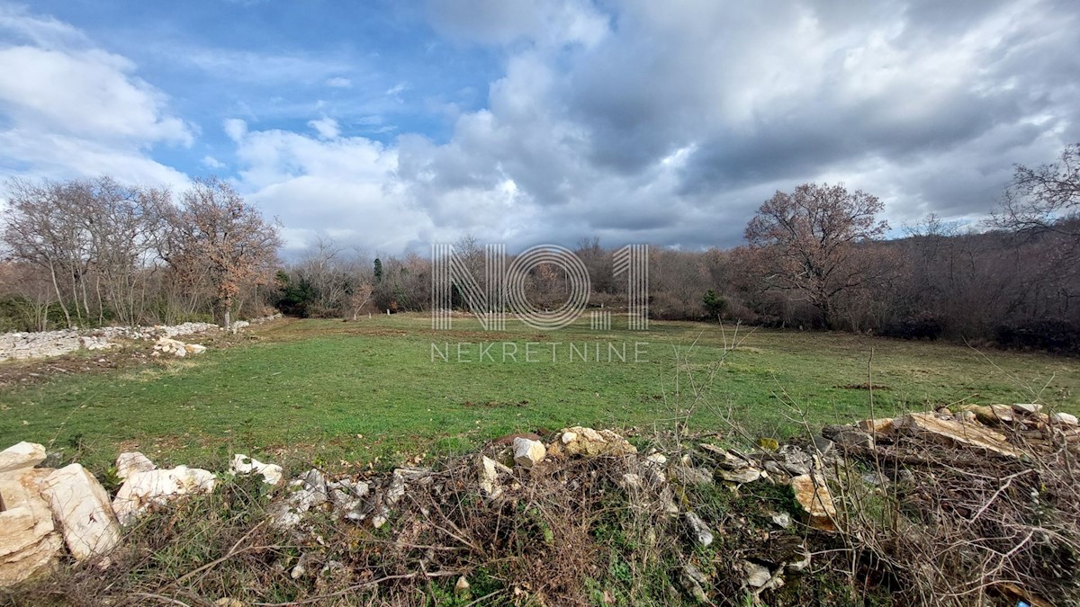 Terreno Plovanija, Buje, 763m2