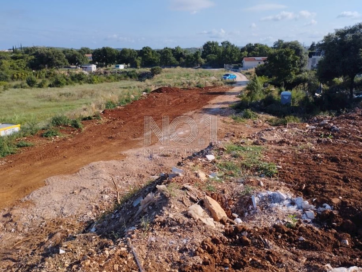 Rovigno - terreno agricolo con progetto