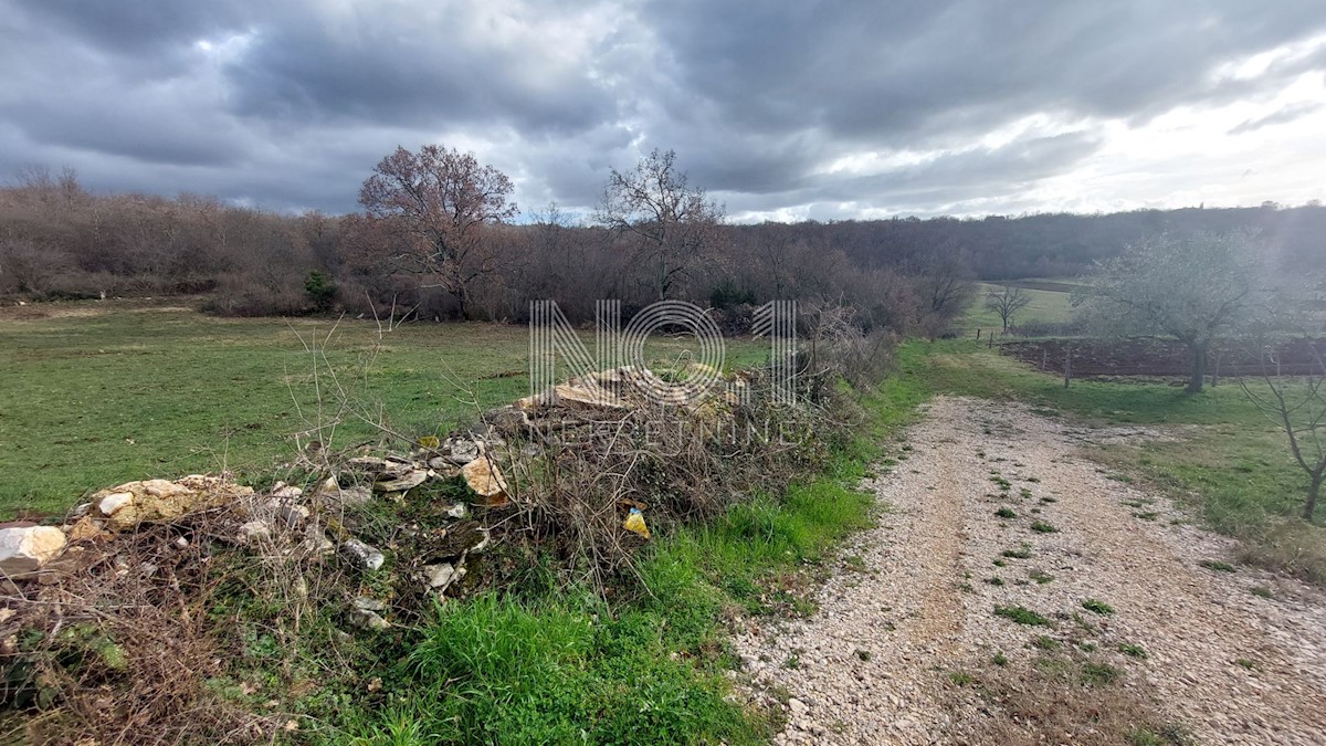 Terreno Plovanija, Buje, 760m2