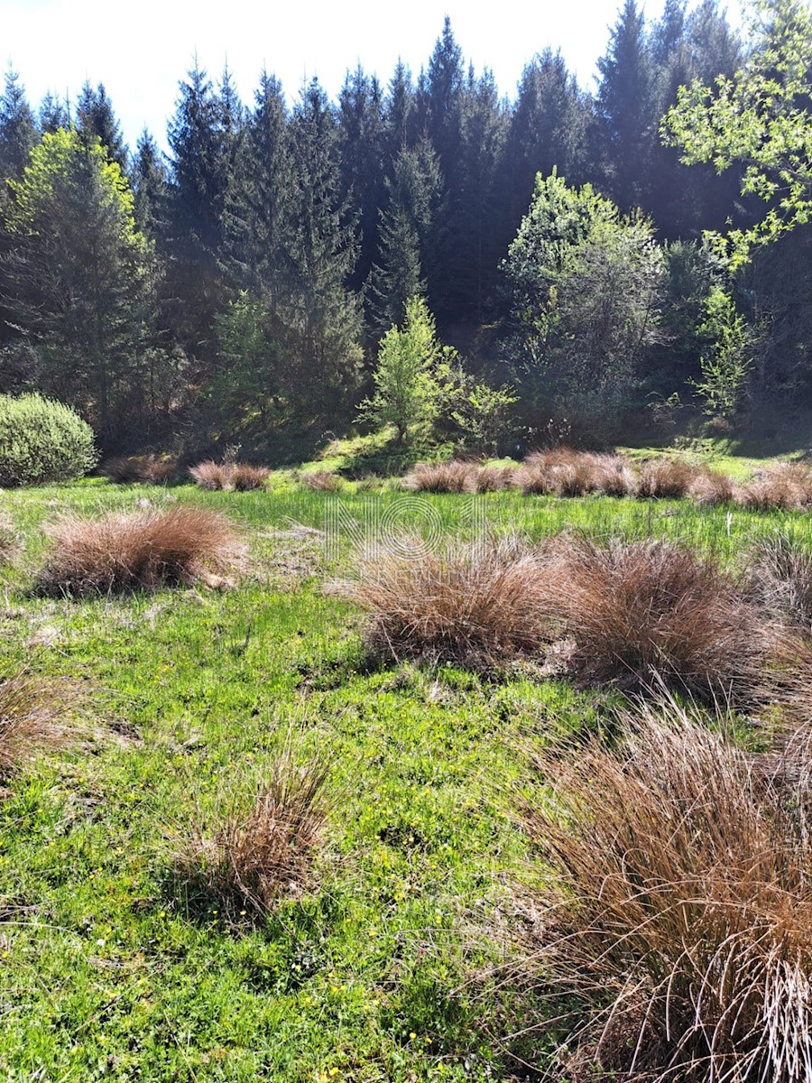 Terreno Donje Primišlje, Slunj, 86.269m2