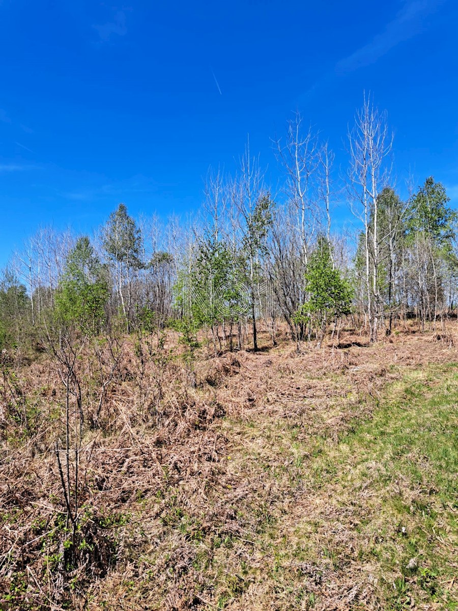 Terreno Donje Primišlje, Slunj, 86.269m2