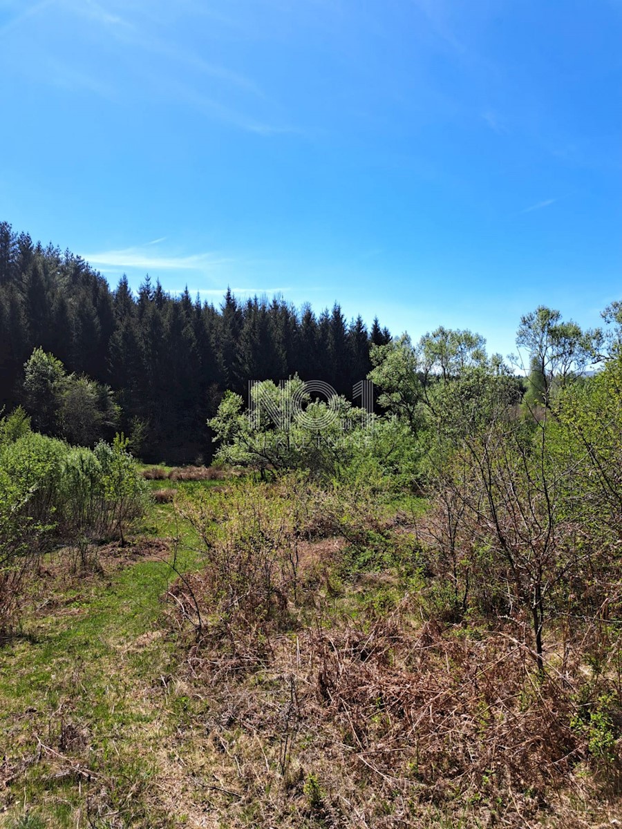 Terreno Donje Primišlje, Slunj, 86.269m2