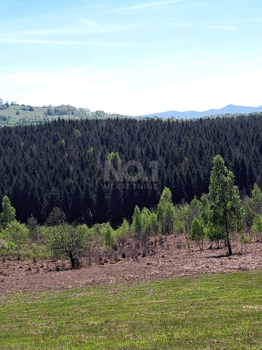 Terreno Donje Primišlje, Slunj, 86.269m2