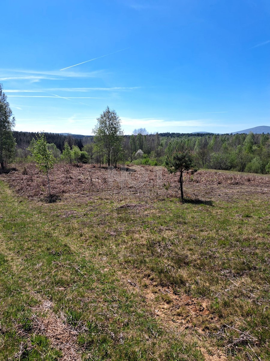 Terreno Donje Primišlje, Slunj, 86.269m2