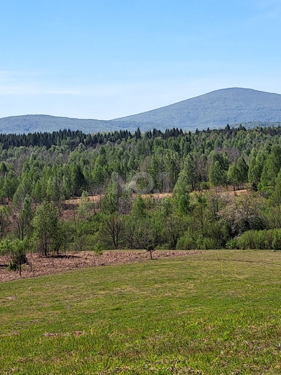 Terreno Donje Primišlje, Slunj, 86.269m2